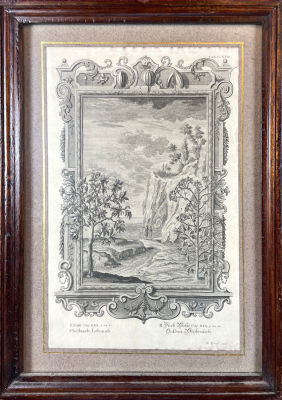 Гравер Мартин Тюроф (1704–ок 1759) - Лист из ботанической книги &laquo;Physica Sacra&raquo; Иоганна Якоба 