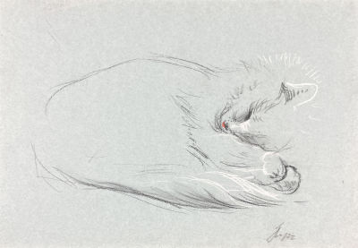 Ноаров Андрей Игоревич (1977 г.р.) - Кот. 2022 г. Бумага, пастель, 20.9 х 29.7 смХудожник-график. 