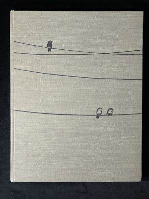 Ильф, И., Петров, Е. Тоня / ил. Д. Дубинского. М.: ГИХЛ, 1959. 72 с. 26,5 х 20.5 см