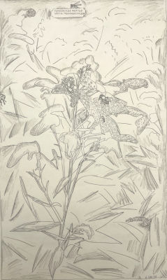 Максимов Александр Денисович (1930–1992) - Тамбовские желтые цветы, пахнущие медом. 1970 г. Бумага 