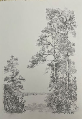 Борзенок Евгений Иванович (1947 г.р.) - Пейзаж. 2000-е гг. Бумага, графитный карандаш, 31.1 х 21.5 