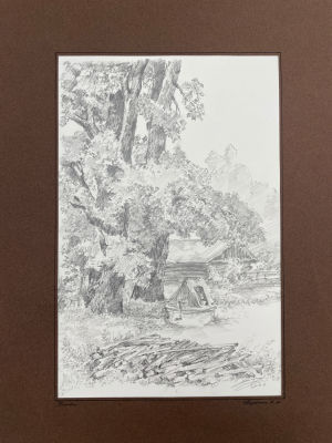 Борзенок Евгений Иванович (1947 г.р.) - Колодец. 2003 г. Бумага, графитный карандаш, 31 х 21.6 см 