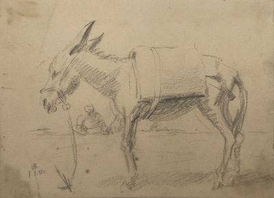 Криворуцкий (Пейсах-Лейзер) Петр Моисеевич (1920-1987) - Ослик. 1947 г. Бумага, карандаш, 20.3 х 28 см