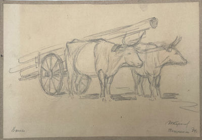 Королев Иван Петрович (1888-1942) - Волы, запряженные в повозку. 1934 г. Бумага, карандаш, 17.4 х 