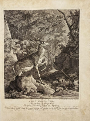 Ридингер, Иоганн Элиас (1698-1767) - Олень. 1754 г. Бумага, гравюра резцом, Лист - 39.6 х 29.3 см 
