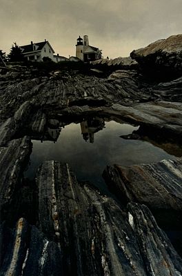 [Из архива Стигнеева В.Т.] Патриция Морган - 33.7 х 22.3 см