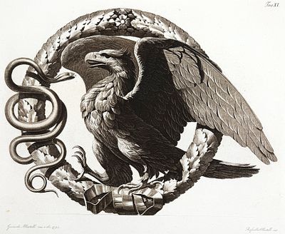 Джокондо Альбертолли (1742-1839) - Орел и змей. 1793 г. Бумага, гравюра, 65.1 х 51 см 
Джокондо 