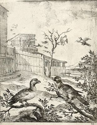 (М) Ступ Дирк (1615-1686) - Ястреб и кукушка. Иллюстрация к басне Эзопа. 1665 г. Бумага, офорт, 37 