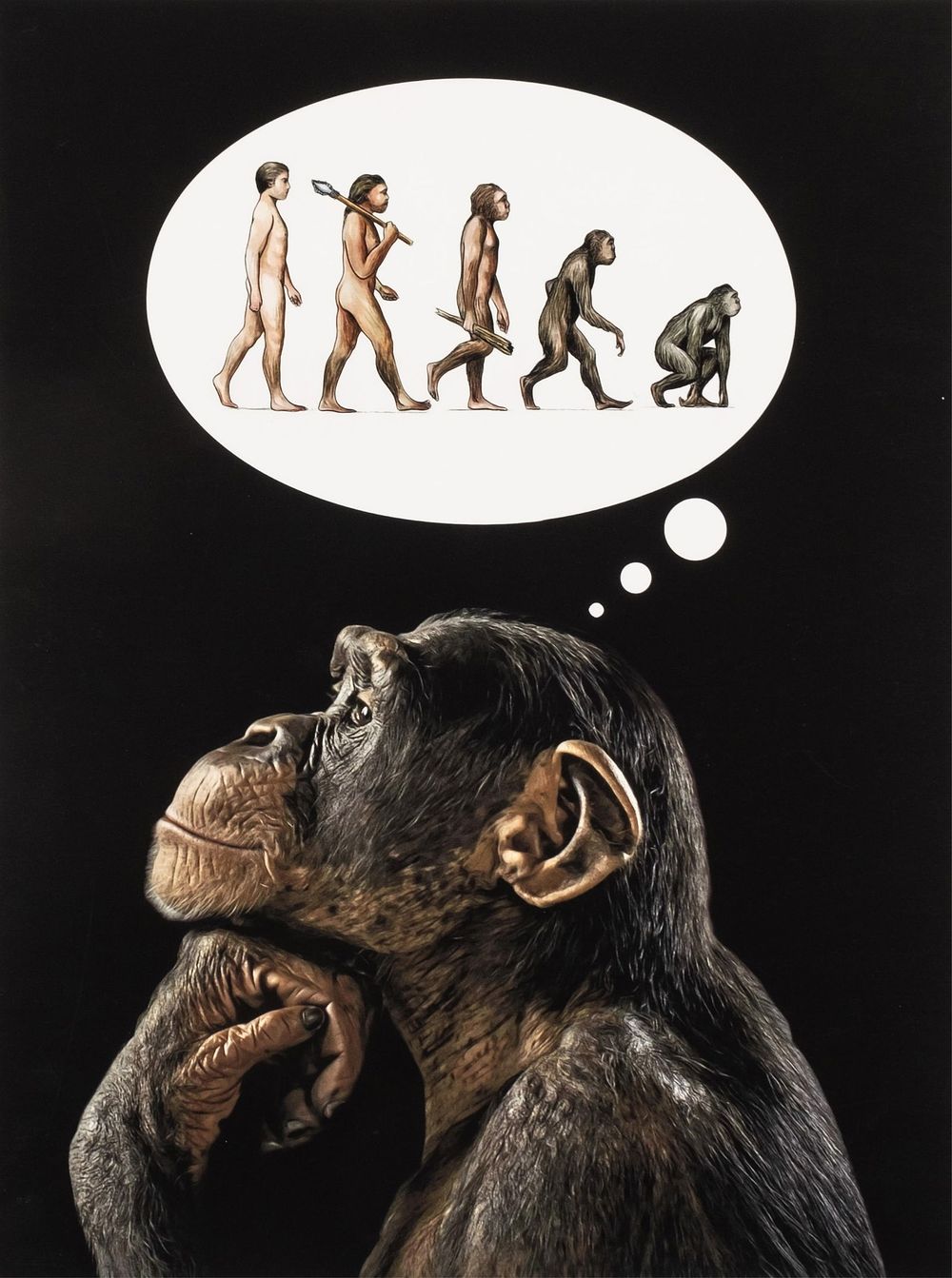 Lot 374: Mr. Strange Signed, Homo Stupidus, Limited Edition Screenprint