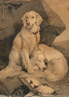 Edwin Douglas British 19th Century “Setters" Sporting Lithograph. Keywords: sporting dogs 