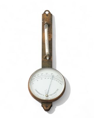 Lambrecht’s Polymeter Hygrometer/Thermometer, Circa 1880. Keywords: No reserve, meteorology 