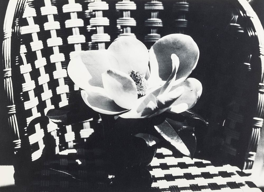 Lot 137: Man Ray, 'Magnolia' Signed 1935 Vintage Silver Gelatin Photograph, Vogue - No Reserve