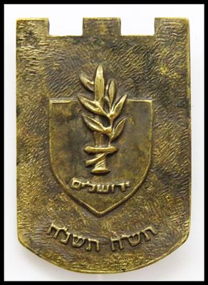 סמל סיכה יובל 50 שנה לחטיבת עציוני חטיבה 6, היא חטיבת חיל רגלים במילואים. החטיבה הוקמה בנובמבר 