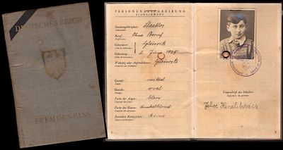 דרכון גרמני ישן. הדרכון שייך לילד יהודי בשם פליקס הרשליקוביץ', יליד 2 ביוני 1925, מהעיר גלייביץ 