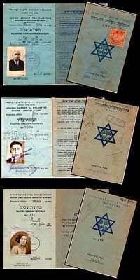 3 תעודות עליה היסטורית לארץ ישראל שהונפקו על ידי הסוכנות היהודית לארץ ישראל (Jewish Agency for 