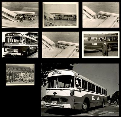 10 צילומים של אוטובוסים עם לוגו של חברת אל על , מידות שונות גובה מ6.5 עד 12. תמונות EL AL - 