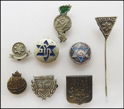 לוט 8 סיכות אגודות ספורט מכבי ומכבי צעיר שונות. 1) קונגרס מכבי העולמי 1957 
2) מכבי חולון
3) 