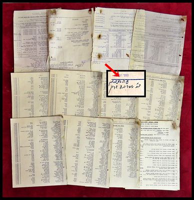 לוט 49 מסמכים ארכיוניים של הגמנסיה העברית הרצליה בע"מ, דוחות סניפים, רשימות חברים, דוחות כספיים 