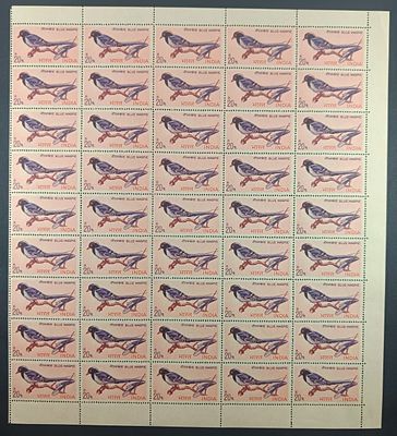 India 1968 Indian Birds (Red-billed Blue Magpie), 20p - Mnh, yellow gum - Full Sheet of 45 Stamps