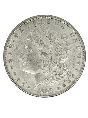1889 Morgan Silver Dollar AU. S/26.7-ES 
TITLE DESCRIPTION: 1889 Morgan Silver Dollar AU 