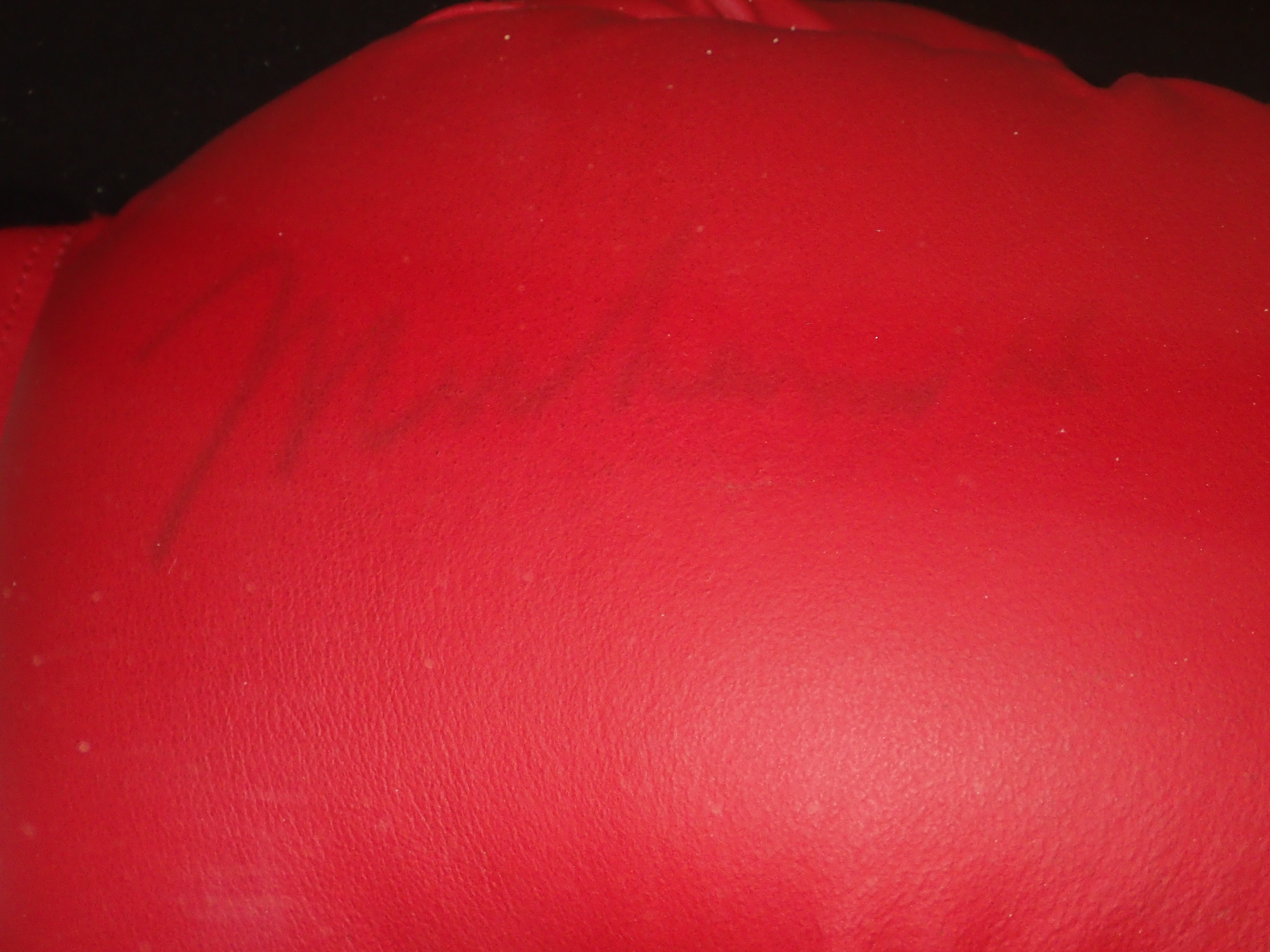Muhammad Ali-Joe Frazier Signed Boxing Gloves