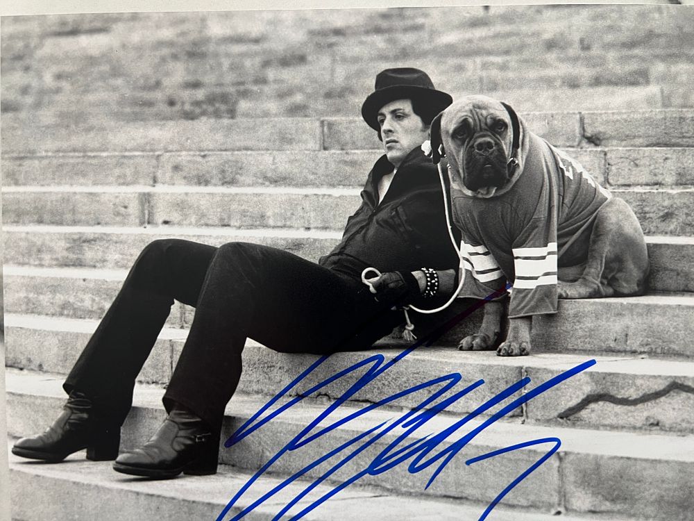 Cool Stuff Auctions | מכירה  587 | $15 LIVE AUCTION | Autographed Memorabilia | Movies | TV | Music