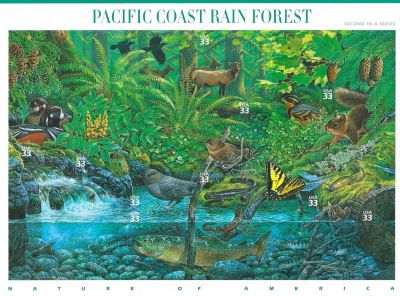 Pacific Coast Rain Forest Stamp Sheet. Pacific Coast Rain Forest (Nature of America), Full Sheet 
