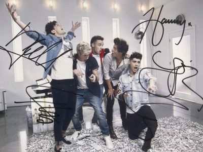 One Direction band signed photo autographed by Niall Horan, Liam Payne, Harry Styles, Louis 