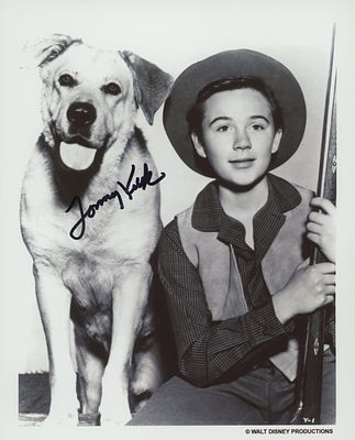 Old Yeller Tommy Kirk signed movie photo. Old Yeller signed movie photo autographed by Tommy