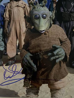 Star Wars Warwick Davis signed photo. 8x10 inches