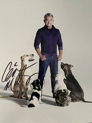 Dog Whisperer Cesar Millan signed photo . 8 x 10 inch photo