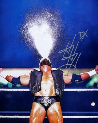 WWE Triple H facsimile signed photo. 8x10 inches. This item is a reprint of an original autograph