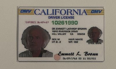 Back to the Future prop license- Dr. Emmett Brown. This item is laminated. 3x2 inches