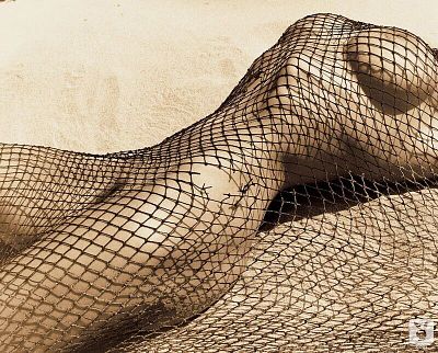 Cindy Crawford photo reprint. 8x10 inches