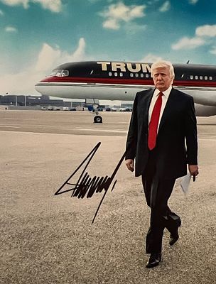 US President Donald Trump signed photo. 8x10 inches