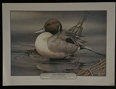 Sherrie Russell Meline Bird Art Print