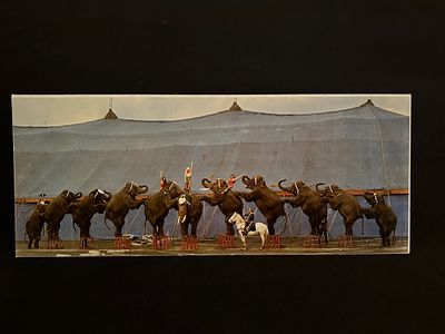 1980 Circus Vargas Gala Opening Night Invitation
