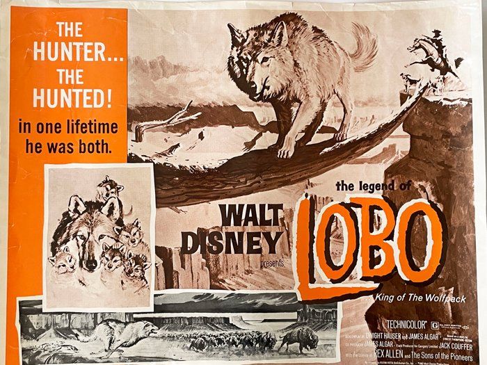 Lot 205: The Legend of Lobo 1962 vintage movie poster