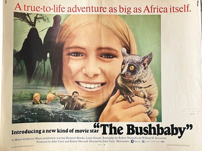Lot 235: The Bushbaby 1969 vintage movie poster
