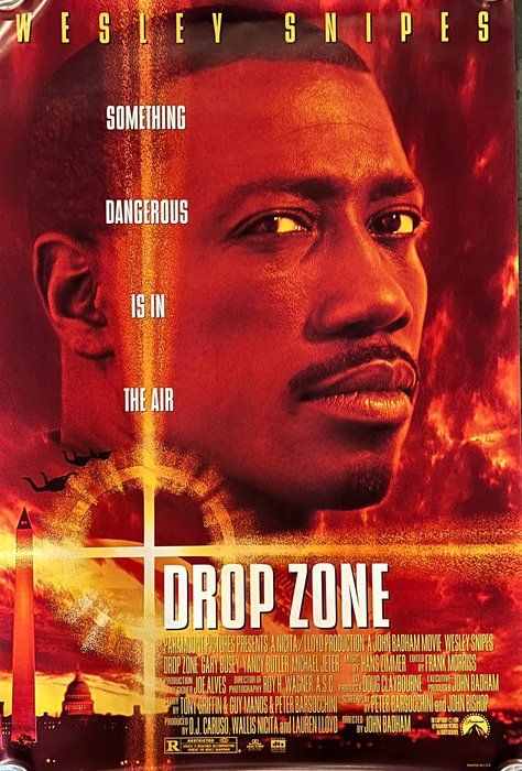 Lot 256: Drop Zone 1994 original movie poster