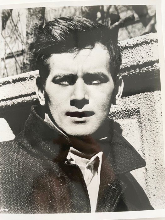 Lot 276: Martin Sheen vintage photo