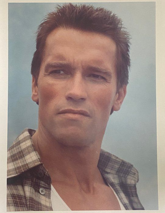 Lot 467: Arnold Schwarzenegger photo
