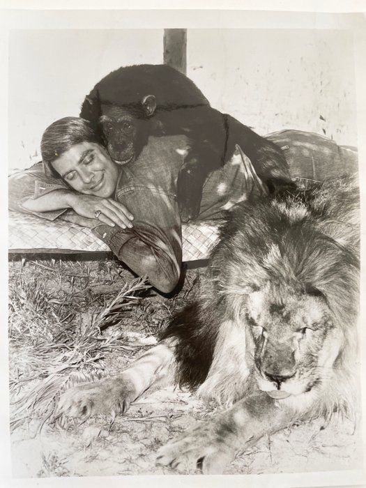 Lot 513: Ross Hagen vintage photo