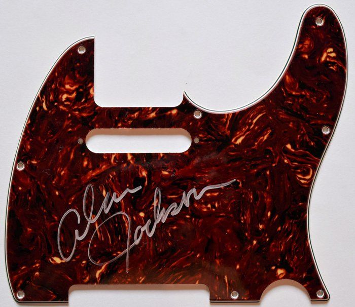 Lot 71: Alan Jackson Tortoise Shell Telecaster Pick Guard