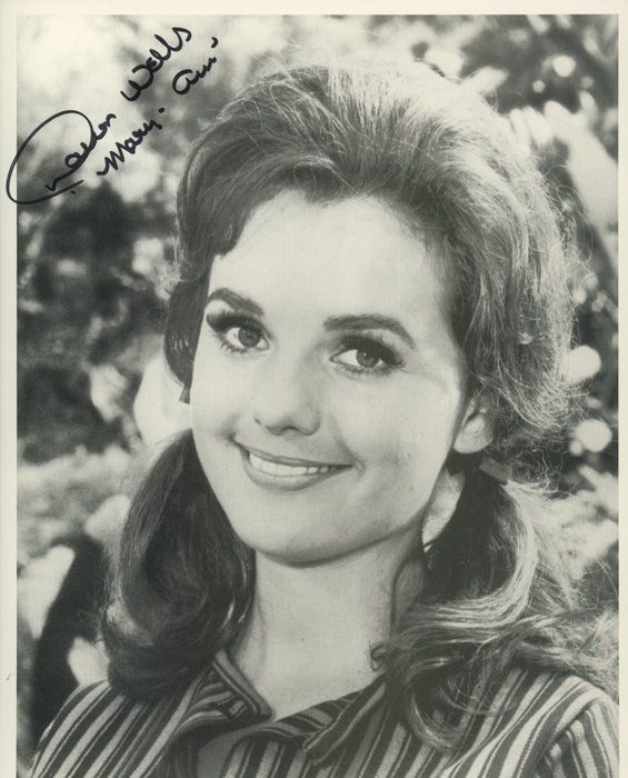 Lot 238: Gilligan's Island Dawn Wells signed photo