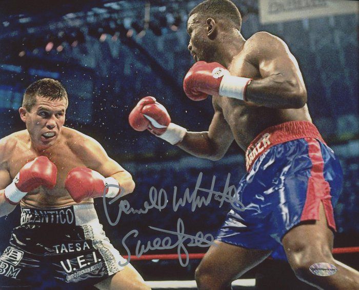 Lot 413: Boxing Champion Pernell Whitaker Sr. signed photo