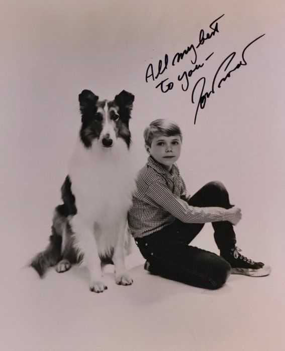 Lot 696: Lassie Jon Provost signed photo