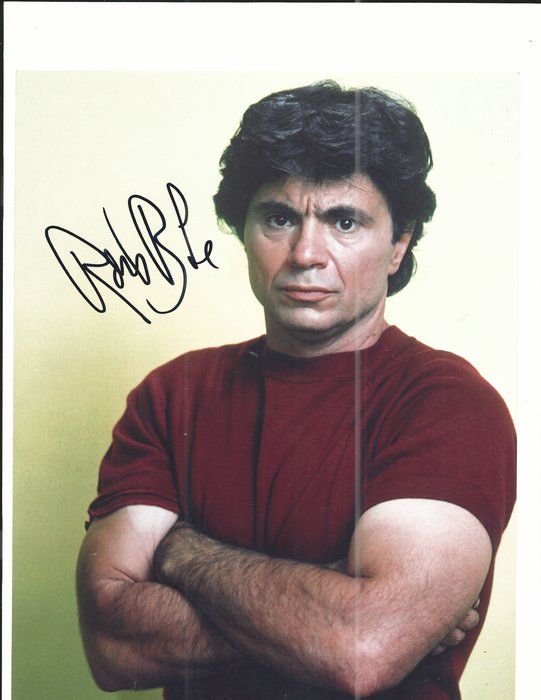 Lot 513: Baretta Robert Blake signed  photo