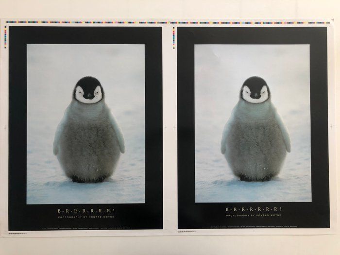 Lot 404: B-R-R-R-R-R-R! Konrad Wothe Double Penguin Print Poster