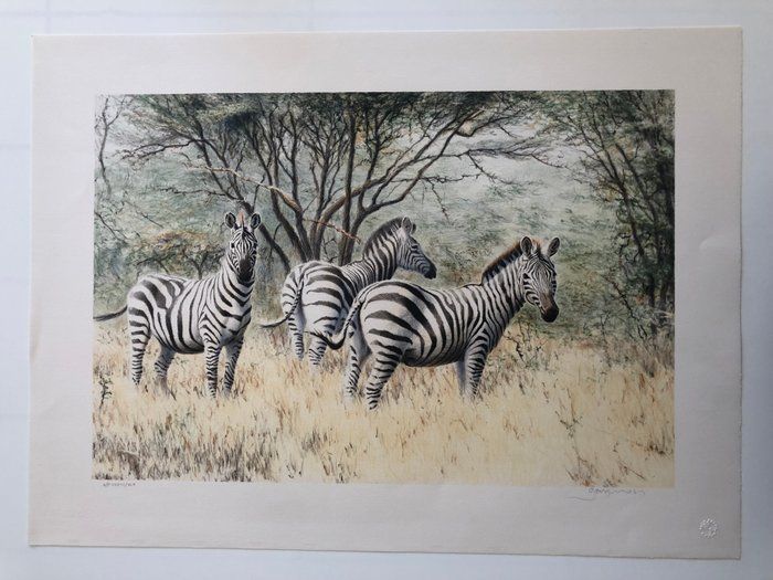 Lot 410: A Dazzle of Zebras Print